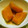 ようっちょ's cooksnap of when they made ＊間違いなし‼塩で簡単かぼちゃの煮物＊.