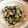 ババババブ's cooksnap of when they made 簡単きゅうりとキャベツの漬け物.