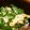 usaco3's cooksnap of when they made 超簡単！ニラの卵とじ丼.