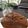 zaruzaru's cooksnap of when they made ココアで♪チョコレートパウンドケーキ.