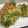 腹ペコ助's cooksnap of when they made ✿こごみの洋風かき揚げ✿.