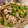 toshio39's cooksnap of when they made 豚こまとピーマンの焼肉のたれマヨ炒め.