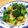 はらだんご's cooksnap of when they made ブロッコリーと干し海老のエスニック風炒め.