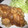 まこ’cooking's cooksnap of when they made 失敗知らずの生姜焼き☆.