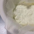 テンちゃん♪'s cooksnap of when they made 水切りヨーグルト.