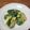 kunoiti's cooksnap of when they made あと一品に！塩麹きゅうりのごま和え♪.