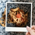 ﾘｮｩcoco's cooksnap of when they made れんこんとエリンギのバター醤油炒め.