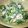 ばたふりー's cooksnap of when they made 菜の花の簡単ツナマヨサラダ.