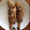 Figo10's cooksnap of when they made いしもちのワイン蒸し.