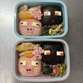 Chaaa_room's cooksnap of when they made ☆キャラ弁 マインクラフト Part１.