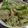 ひんべえ's cooksnap of when they made たくあんでサラダ★簡単.