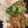 パッシーユ's cooksnap of when they made ☆簡単ガパオライス☆.