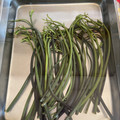 COCONA02's cooksnap of when they made 重曹の量に迷わない‼簡単わらびのアク抜き.