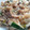 つぅ's cooksnap of when they made 豚こまと玉葱と椎茸のオイスター炒め.