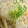 ムーヒツジ's cooksnap of when they made 割烹白だしだけ！絶品たけのこご飯.