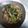 まぶたん's cooksnap of when they made ひじきとピーマンのツナ炒め。.