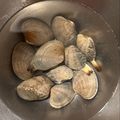 ぴたまま's cooksnap of when they made 時短！急速あさり砂抜き15分人気検索1位.