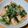 kaiselim's cooksnap of when they made 簡単！驚く柔らかさ鶏胸肉と小松菜の中華煮.