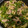 raurau07's cooksnap of when they made 豚こま★たけのこ★青椒肉絲.