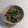 クックVNZV99☆'s cooksnap of when they made 小松菜と釜揚げしらすの　パリパリサラダ　.
