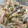 ペロリ55's cooksnap of when they made ◆とろとろマカロニサラダ◆.