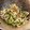 クック49L4Ho☆'s cooksnap of when they made 超簡単！牛肉と野菜の焼き肉のタレ炒め.