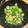 たらららーん's cooksnap of when they made たけのこの木の芽和え.