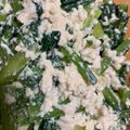 もものすけのまま's cooksnap of when they made 葉酸たっぷり低カロ♡小松菜と大葉の白あえ.