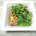 めぐ＊ぴぃ's cooksnap of when they made 【糖尿病】大葉納豆　87kcal.