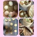 ☆あさ's cooksnap of when they made 肉まんの皮♡.