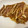 かなぴょー's cooksnap of when they made 余った納豆で…納豆のふわふわ卵焼き！？.