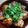 ちくわ君's cooksnap of when they made 特盛り！新•ネギたこ焼き.