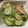 じゅかのかぁ's cooksnap of when they made きゅうりとツナの和風マヨサラダ.