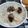 natsukori's cooksnap of when they made 甘栗でカンタン栗ご飯っ！.