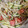 クックCNZGFQ☆'s cooksnap of when they made もやしときゅうりとトマトの中華風サラダ.