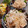 ひっこ's cooksnap of when they made ＊新玉ねぎとツナのさっぱりマヨサラダ＊.