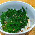 ちーまぐ's cooksnap of when they made 我が家のつまみ✿大葉キムチ.