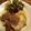miiko大好き's cooksnap of when they made 圧力鍋で煮豚 〜豚ももブロック〜.