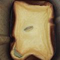 愛ちゃんばあば's cooksnap of when they made ＊HBで簡単ヨーグルトチーズケーキ＊.