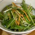 yummy?'s cooksnap of when they made 作り置きにも☆水菜と人参の和サラダ.