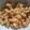 のんミ☆'s cooksnap of when they made ☼コリコリが美味しい♪鶏ひざなんこつ炒め.