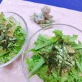 みっちゃん❇️68's cooksnap of when they made 簡単♬サッパリ食べられる水菜サラダ.