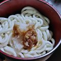 ★むさ's cooksnap of when they made めんつゆで簡単☆ぶっかけおろしうどん♪.
