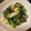 こうせい(=ﾟωﾟ)ﾉ's cooksnap of when they made 白菜とほうれん草のごまマヨサラダ.
