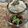 saki1010's cooksnap of when they made 【海外から】酒・味醂不使用の手作り麺つゆ.