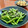 Superlittleboo's cooksnap of when they made 簡単　スナップエンドウのゴマあえ.
