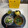 ニッシーマン's cooksnap of when they made さんまのお刺身～さんまのさばき方～.