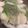 ﾌﾞﾚﾝﾀﾞ's cooksnap of when they made 水餃子鍋.