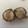 xrymamax's cooksnap of when they made 生栗の茹で方.