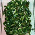 7100⭐︎'s cooksnap of when they made ニラだれ！そうめんや茹で鶏に◎.